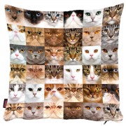 Kedili Yastık Kılıfı-38